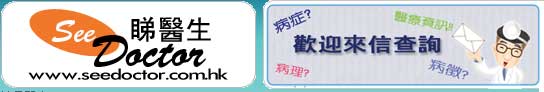 ڻ��� - ��ȸ�T��