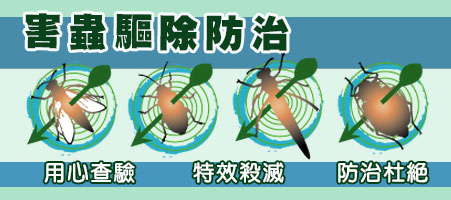 鼎聯行蟲害控制有限公司
