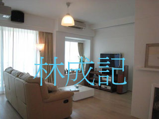 林成記